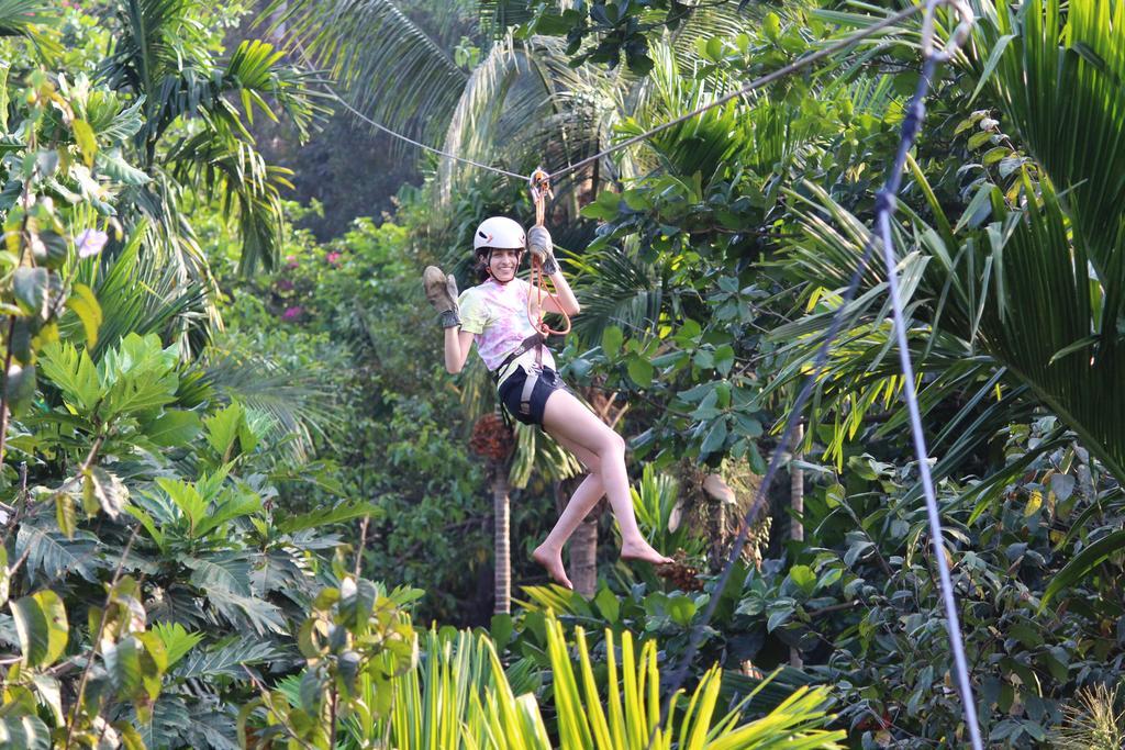 Jungle Book Resort Collem Exteriör bild